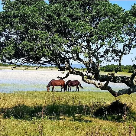 Casa Museo 