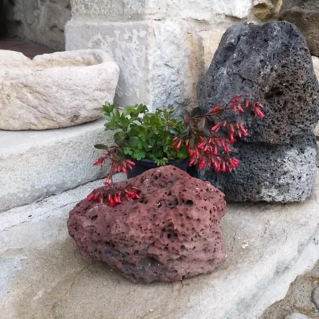 Maison d'hôtes Casa Museo 
