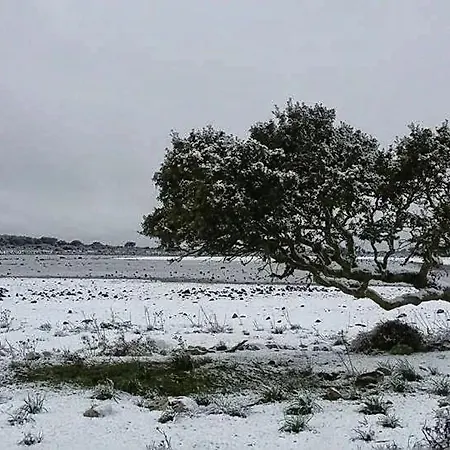 Sa Domu De Ziu Antoneddu