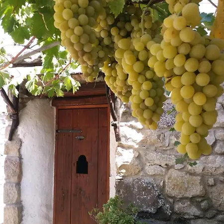 Sa Domu De Ziu Antoneddu