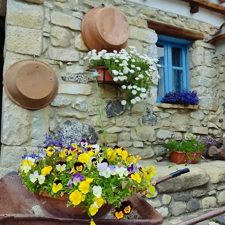 بيت ضيافة Casa Museo 