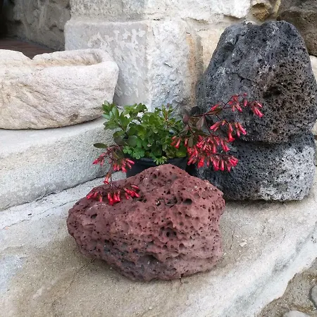 Sa Domu De Ziu Antoneddu * Tuili