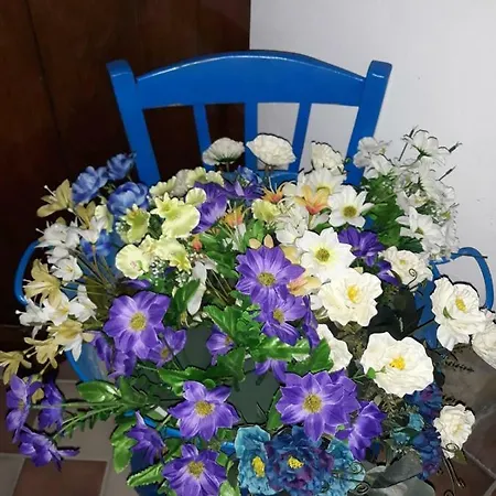 Sa Domu De Ziu Antoneddu * Tuili