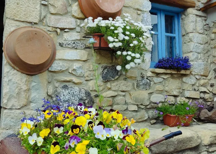 Vendégház Casa Museo 