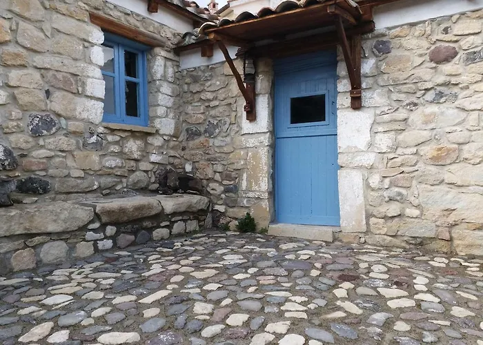 Casa Museo 